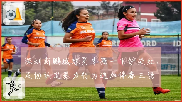 深圳新鹏城球员李源一飞铲染红，足协认定暴力行为追加停赛三场