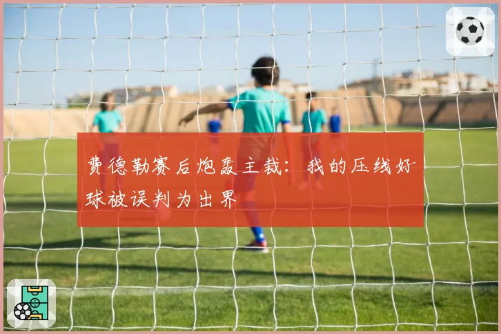 费德勒赛后炮轰主裁：我的压线好球被误判为出界