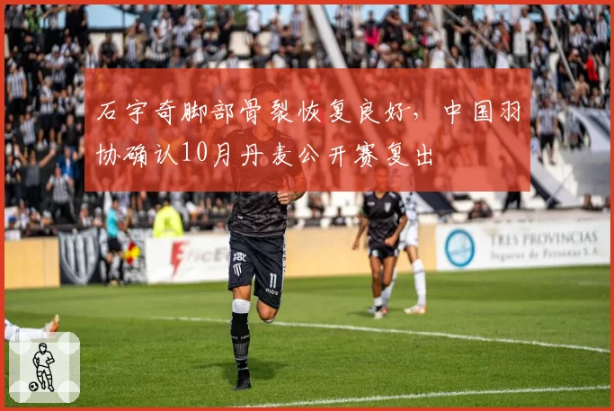 石宇奇脚部骨裂恢复良好，中国羽协确认10月丹麦公开赛复出