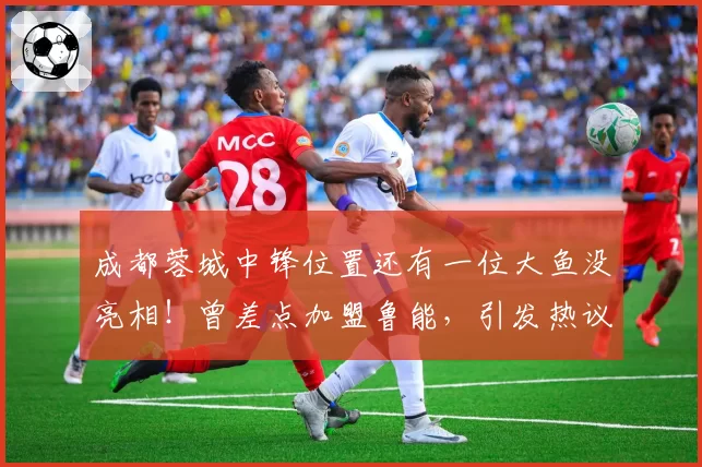 成都蓉城中锋位置还有一位大鱼没亮相！曾差点加盟鲁能，引发热议