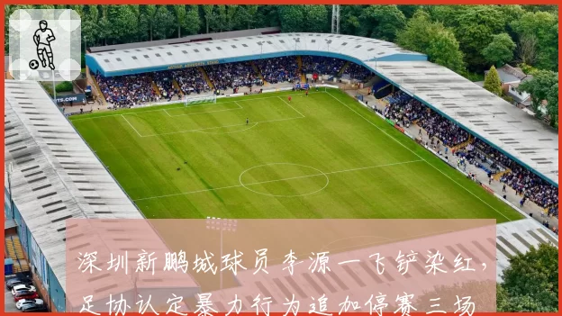 深圳新鹏城球员李源一飞铲染红，足协认定暴力行为追加停赛三场