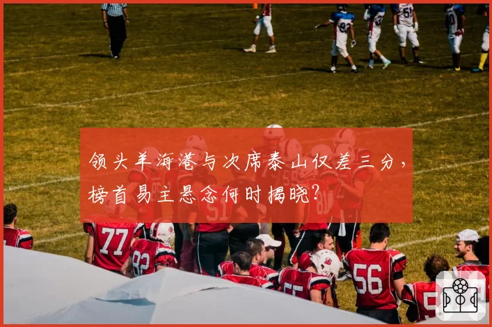 领头羊海港与次席泰山仅差三分，榜首易主悬念何时揭晓？