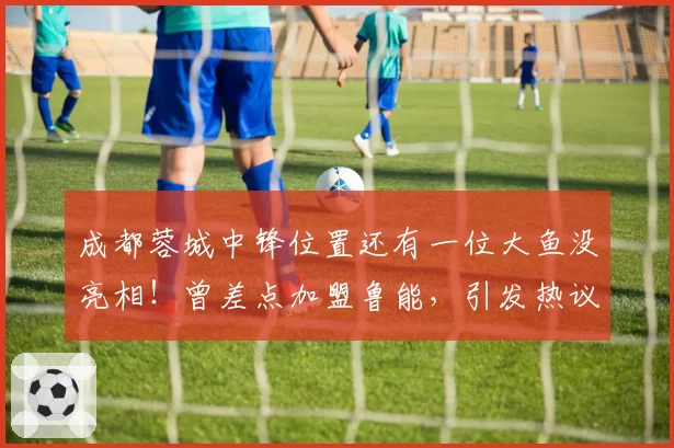 成都蓉城中锋位置还有一位大鱼没亮相！曾差点加盟鲁能，引发热议
