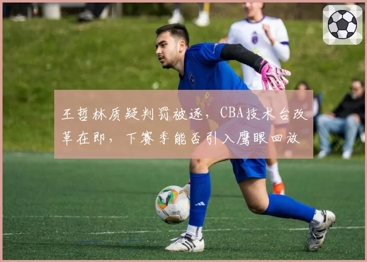 王哲林质疑判罚被逐，CBA技术台改革在即，下赛季能否引入鹰眼回放？