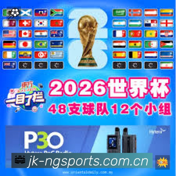 NG体育 客户端图
